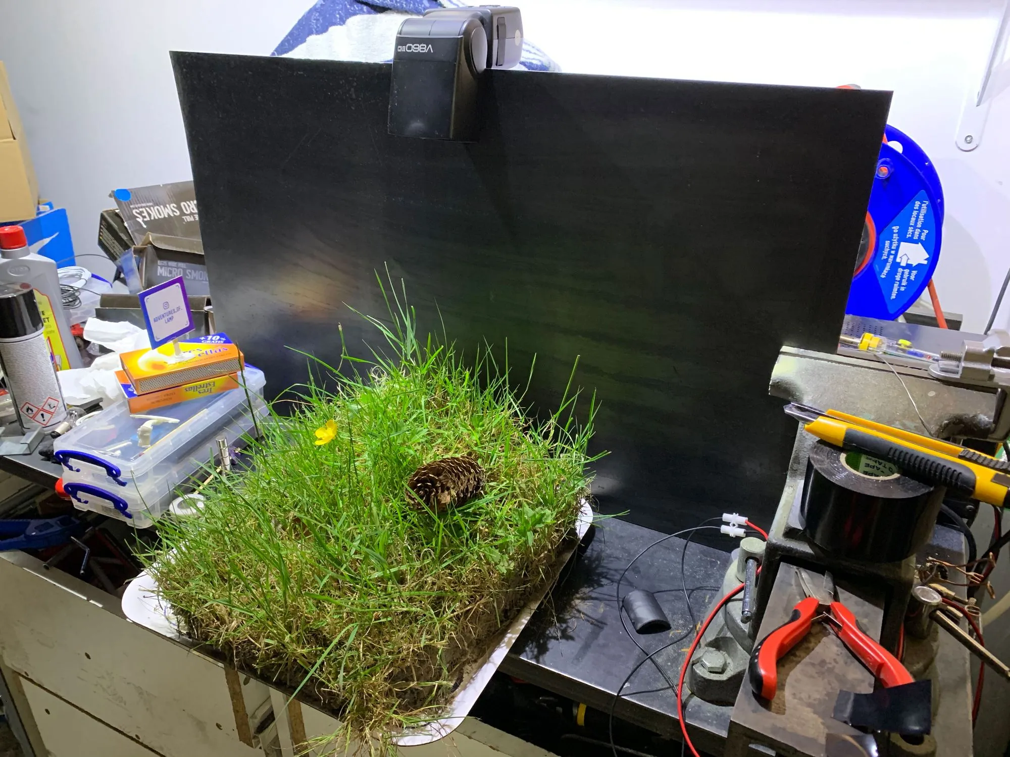 A workshop bench with a chunk of grass and a buttercup in front of a monitor